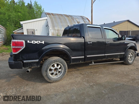 2009 Ford F-150 XL with VIN 1FTPW14V29FB29022, listed as a Copart auction lot 59518745 with 225,701 mi miles and Salvage title. Bid and sale history available at DreamBid. Image 3.