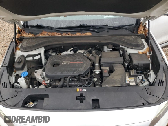 2019 Hyundai Santa Fe Ultimate with VIN 5NMS5CAA4KH019382, listed as a Copart auction lot 44592955 with 120,797 mi miles and Salvage Title. Bid and sale history available at carsss.com. Image 14.