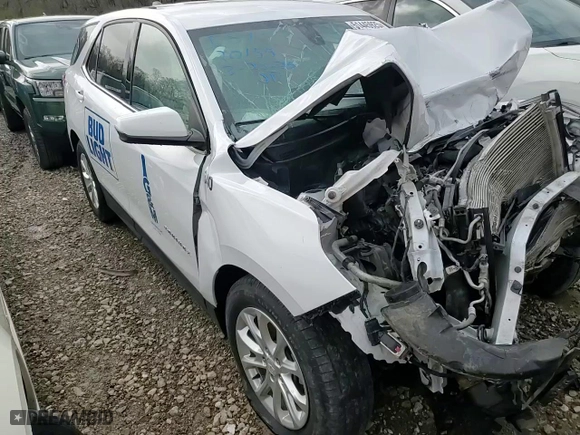 2019 Chevrolet Equinox LT with VIN 2GNAXKEV3K6149178, listed as a Copart auction lot 51445925 with 0 mi miles and Salvage Title. Bid and sale history available at carsss.com. Image 10.