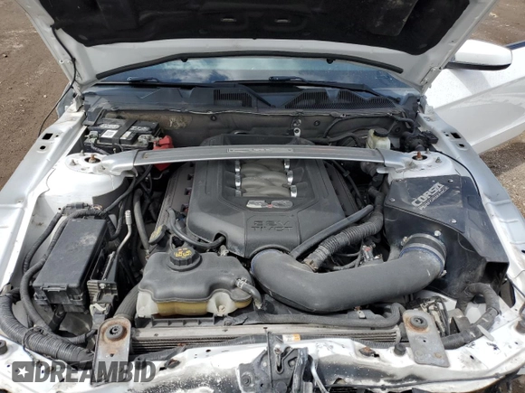 2014 Ford Mustang GT with VIN 1ZVBP8CFXE5295781, listed as a Copart auction lot 58222195 with 118,963 mi miles and Salvage title. Bid and sale history available at DreamBid. Image 11.
