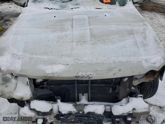 2009 Jeep Grand Cherokee Limited with VIN 1J8HR58T49C547507, listed as a Copart auction lot 46134925 with 0 mi miles and Salvage Title. Bid and sale history available at carsss.com. Image 12.