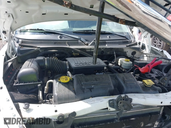 2004 Dodge Dakota SLT with VIN 1D7HG48N14S709199, listed as a IAAI auction lot 42096415 with 188,907 mi miles and . Bid and sale history available at DreamBid. Image 10.