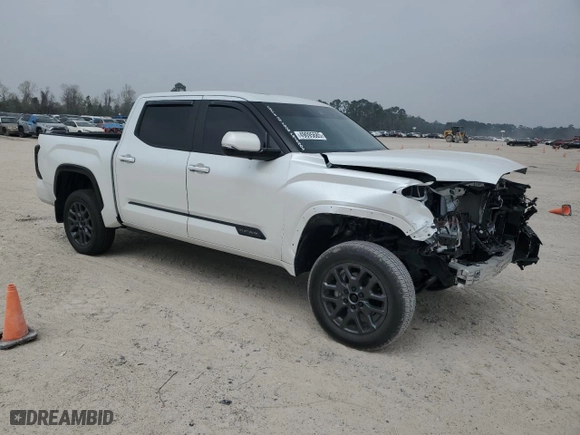 2024 Toyota Tundra 4WD Platinum with VIN 5TFNA5DBXRX232119, listed as a Copart auction lot 49095685 with 8,456 mi miles and Salvage Title. Bid and sale history available at carsss.com. Image 4.