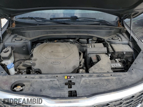 2020 Kia Telluride S with VIN 5XYP6DHC2LG066678, listed as a Copart auction lot 50973265 with 109,814 mi miles and Salvage title. Bid and sale history available at DreamBid. Image 12.