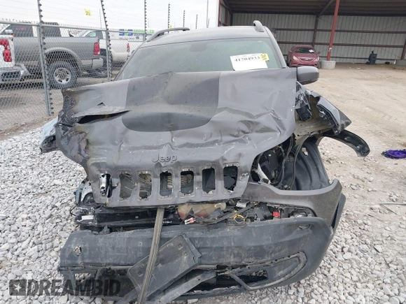 2019 Jeep Cherokee Trailhawk Elite with VIN 1C4PJMBX9KD329661, listed as a IAAI auction lot 41704933 with 1 mi miles. Bid and sale history available at carsss.com. Image 12.