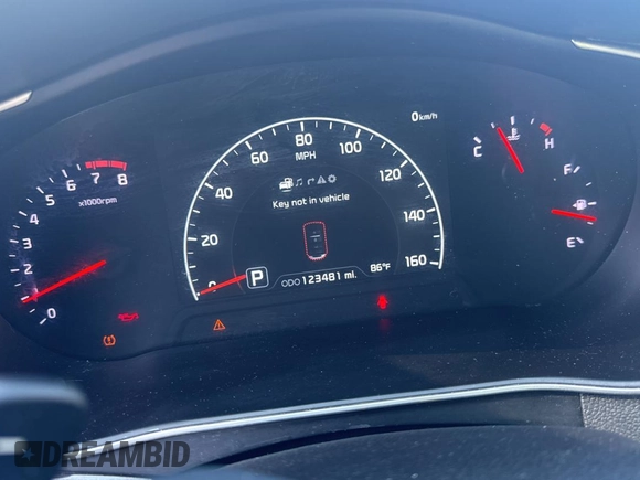 2016 Kia Cadenza Premium with VIN KNALN4D7XG5214226, listed as a Copart auction lot 74809724 with 123,481 mi miles and Salvage Title. Bid and sale history available at carsss.com. Image 8.