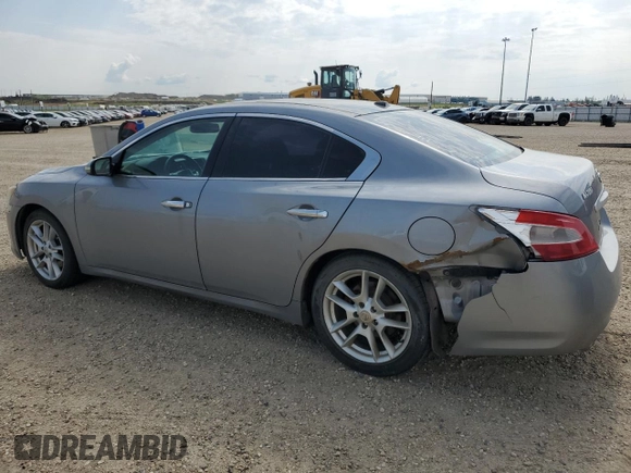 2009 Nissan Maxima S с VIN 1N4AA51E99C837209, выставлен на аукционе Copart как лот 61624435 с пробегом 160 869 миль миль и Списание • Salvage title. История ставок и продаж доступна на DreamBid. Изображение 2.
