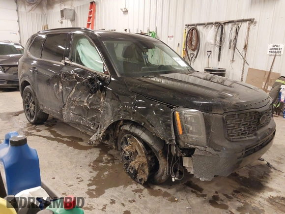 2021 Kia Telluride EX with VIN 5XYP3DHC5MG105113, listed as a IAAI auction lot 41395778 with 90,353 mi miles and . Bid and sale history available at DreamBid. Image 1.