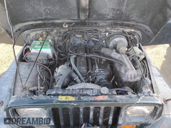 1994 Jeep Wrangler with VIN 1J4FY29S3RP415444, listed as a Copart auction lot 44530625 with 147,569 mi miles and Salvage Title. Bid and sale history available at carsss.com. Image 11.