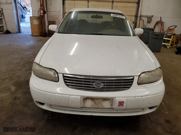 1999 Chevrolet Malibu with VIN 1G1ND52M6X6134275, listed as a Copart auction lot 42881875 with 205,348 mi miles and Salvage Title. Bid and sale history available at carsss.com. Image 5.
