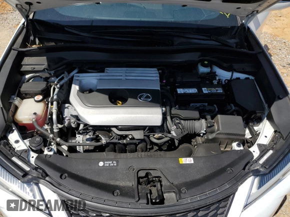 2019 Lexus UX 200 with VIN JTHY3JBH0K2019012, listed as a Copart auction lot 52217285 with 40,617 mi miles and Salvage title. Bid and sale history available at DreamBid. Image 13.