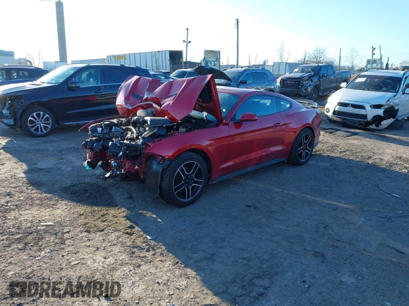 2023 Ford Mustang EcoBoost with VIN 1FA6P8TH0P5113505, listed as a IAAI auction lot 41330154 with 13,456 mi miles. Bid and sale history available at carsss.com. Image 2.