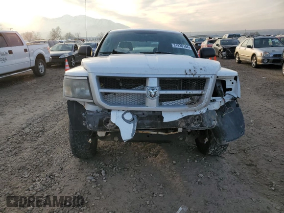 2010 Dodge Dakota Bighorn/Lonestar with VIN 1D7RW3GK8AS212476, listed as a Copart auction lot 81830154 with Not Provided miles and Salvage Title. Bid and sale history available at DreamBid. Image 5.
