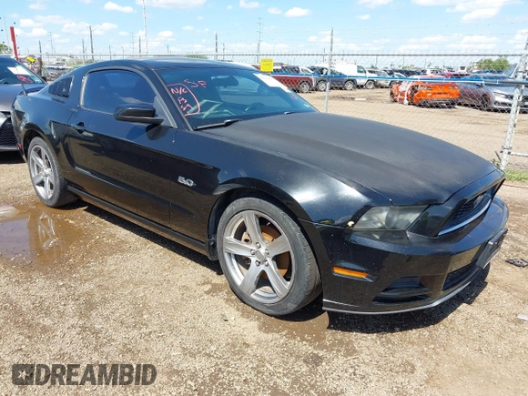 2013 Ford Mustang V6 with VIN 1ZVBP8AM3D5244879, listed as a IAAI auction lot 42210809 with Not provided miles and . Bid and sale history available at DreamBid. Image 1.