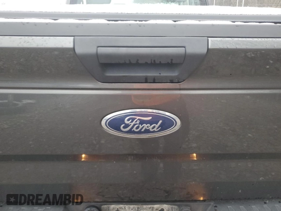 2017 Ford F-150 XL with VIN 1FTMF1CP0HFC86391, listed as a Copart auction lot 85509444 with 69,218 mi miles and Salvage title. Bid and sale history available at DreamBid. Image 10.