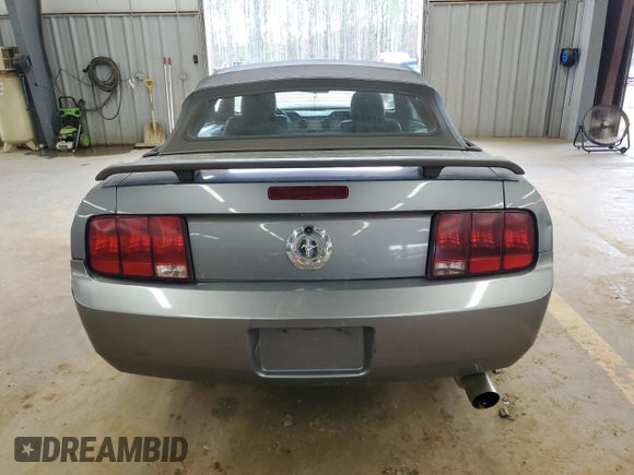 2006 Ford Mustang Standard with VIN 1ZVHT84N165144471, listed as a Copart auction lot 51743815 with 196,243 mi miles and Salvage Title. Bid and sale history available at carsss.com. Image 6.