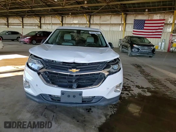 2019 Chevrolet Equinox LS with VIN 3GNAXHEV5KS595174, listed as a Copart auction lot 50412685 with 108,253 mi miles and Salvage Title. Bid and sale history available at carsss.com. Image 10.