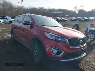 2017 Kia Sorento EX with VIN 5XYPHDA51HG313606, listed as a IAAI auction lot 41203028 with 46 mi miles and . Bid and sale history available at DreamBid. Image 20.
