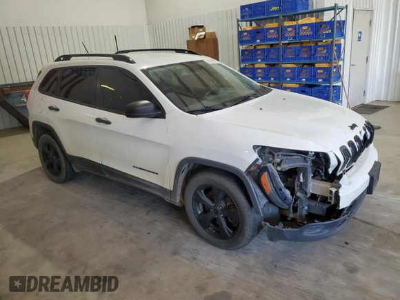 2017 Jeep Cherokee Sport with VIN 1C4PJLAB0HW669407, listed as a Copart auction lot 49335905 with 168,743 mi miles and Salvage Title. Bid and sale history available at carsss.com. Image 4.