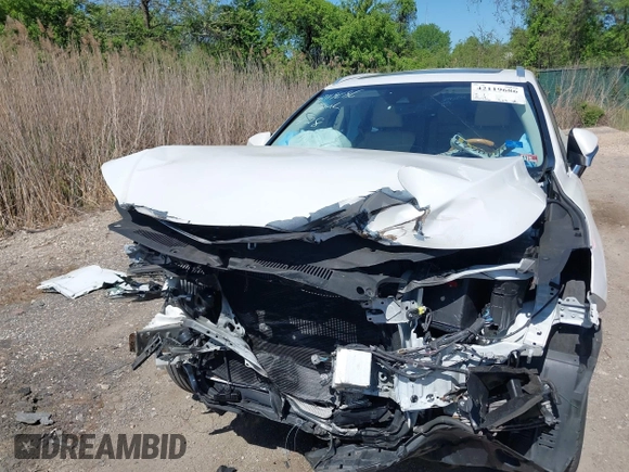 2019 Lexus RX 350L Premium z VIN JTJGZKCA1K2012487, wystawiony jako IAAI lot #42119686 z przebiegiem 76 756 mil mil oraz . Historia ofert i sprzedaży dostępna na DreamBid. Obrazek 6.