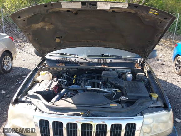 1999 Jeep Grand Cherokee Laredo with VIN 1J4GW58S5XC687480, listed as a IAAI auction lot 42016415 with 186,776 mi miles. Bid and sale history available at carsss.com. Image 10.