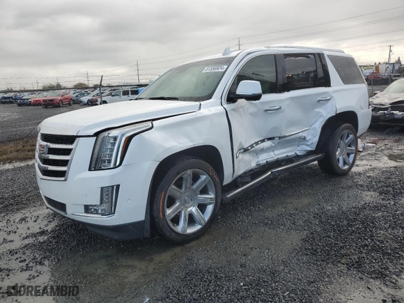 2018 Cadillac Escalade Premium Luxury with VIN 1GYS4CKJXJR243584, listed as a Copart auction lot 81556924 with 0 mi miles and Salvage Title. Bid and sale history available at carsss.com. Image 1.