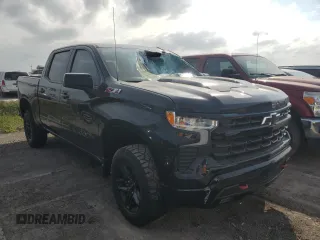 2023 Chevrolet Silverado 1500 LT Trail Boss with VIN 3GCPDFEK5PG120091, listed as a Copart auction lot 73944274 with Not Provided miles and Salvage Title. Bid and sale history available at DreamBid. Image 4.