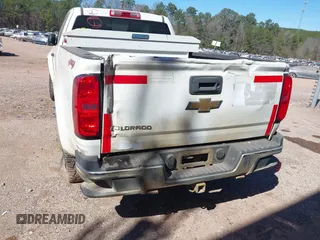 2017 Chevrolet Colorado 4WD Work Truck with VIN 1GCHTBEAXH1264713, listed as a IAAI auction lot 41674650 with 134,209 mi miles. Bid and sale history available at carsss.com. Image 17.