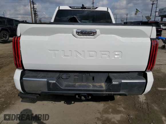 2022 Toyota Tundra Limited with VIN 5TFJA5ABXNX010225, listed as a Copart auction lot 51496985 with 28,476 mi miles and Salvage title. Bid and sale history available at DreamBid. Image 6.