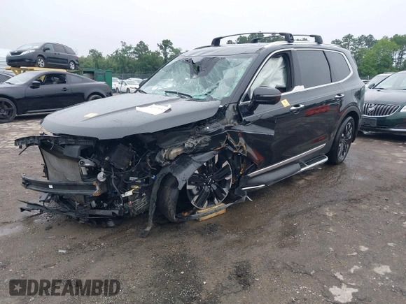 2024 Kia Telluride SX Prestige X-Pro with VIN 5XYP5DGC7RG435855, listed as a IAAI auction lot 42379329 with Not provided miles and . Bid and sale history available at DreamBid. Image 17.