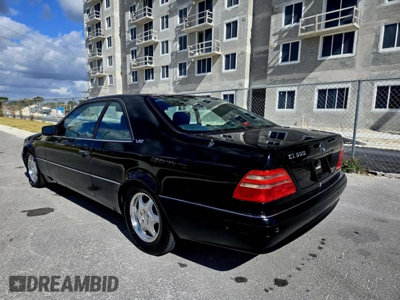 1998 MERCEDES-BENZ CL-CLASS 600 with VIN WDBGA76G5WA397263, listed as a Copart auction lot 43164325 with 110,419 mi miles and Clean Title. Bid and sale history available at DreamBid. Image 3.