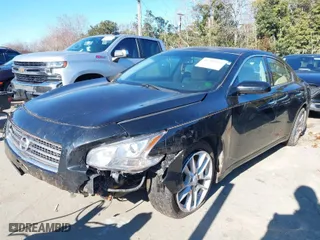 2009 Nissan Maxima 3.5 SV w/Sport Pkg with VIN 1N4AA51E69C858115, listed as a IAAI auction lot 41269516 with 135,193 mi miles. Bid and sale history available at carsss.com. Image 2.