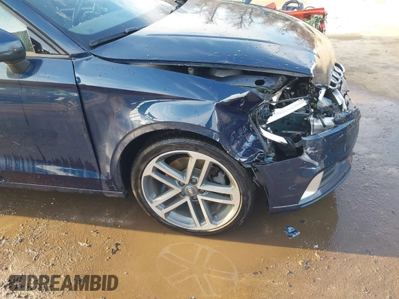 2018 Audi A3 Sedan Premium with VIN WAUAUGFFXJ1022965, listed as a IAAI auction lot 41533808 with 62,212 mi miles. Bid and sale history available at carsss.com. Image 18.