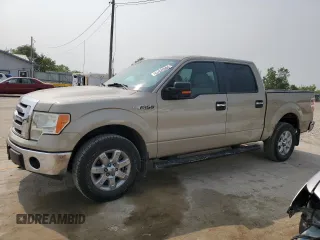 2009 Ford F-150 XL with VIN 1FTRW14889KC61289, listed as a Copart auction lot 58692615 with 127,315 mi miles and Salvage title. Bid and sale history available at DreamBid. Image 1.