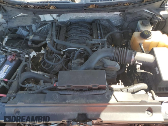 2012 Ford F-150 XL with VIN 1FTFW1EF5CFB56290, listed as a Copart auction lot 74875874 with 233,978 mi miles and Salvage title. Bid and sale history available at DreamBid. Image 11.