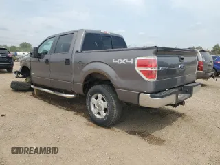 2013 Ford F-150 XL with VIN 1FTFW1ET1DKF57964, listed as a Copart auction lot 58801885 with 176,584 mi miles and Salvage title. Bid and sale history available at DreamBid. Image 2.