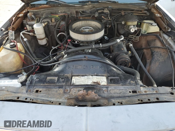 1984 Chevrolet Impala z VIN 2G1AL69H4E9168804, wystawiony jako Copart lot #55232275 z przebiegiem 75 318 mil mil oraz Czysty tytuł • Clean title. Historia ofert i sprzedaży dostępna na DreamBid. Obrazek 11.