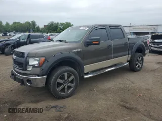 2009 Ford F-150 XL z VIN 1FTPW14V09FA39822, wystawiony jako Copart lot #57272905 z przebiegiem 197 699 mil mil oraz Szkody całkowita. Historia ofert i sprzedaży dostępna na DreamBid. Obrazek 1.