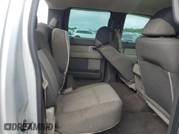 2009 Ford F-150 XL with VIN 1FTRW12W09FA68807, listed as a Copart auction lot 57811775 with 256,731 mi miles and Salvage title. Bid and sale history available at DreamBid. Image 10.