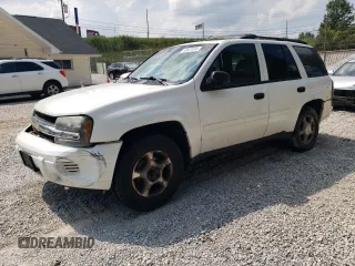 2006 Chevrolet TrailBlazer LS with VIN 1GNDT13S362357608, listed as a Copart auction lot 68828434 with 173,608 mi miles and Salvage Title. Bid and sale history available at DreamBid. Image 1.