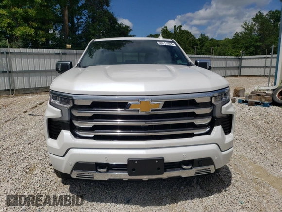 2024 Chevrolet Silverado 1500 High Country with VIN 1GCUDJE88RZ300839, listed as a Copart auction lot 60121904 with 2,069 mi miles and Salvage Title. Bid and sale history available at DreamBid. Image 5.