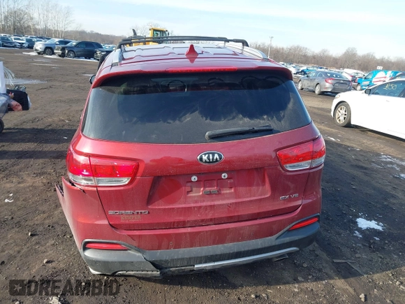 2017 Kia Sorento EX with VIN 5XYPHDA51HG313606, listed as a IAAI auction lot 41203028 with 46 mi miles and . Bid and sale history available at DreamBid. Image 15.