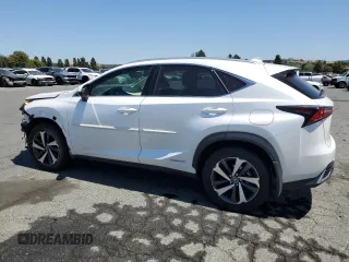 2021 Lexus NX 300h with VIN JTJGJRDZ8M5012895, listed as a Copart auction lot 62593635 with 41,210 mi miles and Salvage title. Bid and sale history available at DreamBid. Image 2.