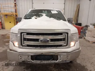 2013 Ford F-150 XL with VIN 1FTEX1CM8DFD14097, listed as a IAAI auction lot 41397500 with 181,838 mi miles. Bid and sale history available at carsss.com. Image 12.