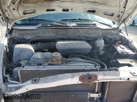 2002 Dodge 1500 with VIN 1D7HA16K32J224753, listed as a Copart auction lot 79841324 with 117,715 mi miles and Salvage Title. Bid and sale history available at DreamBid. Image 11.
