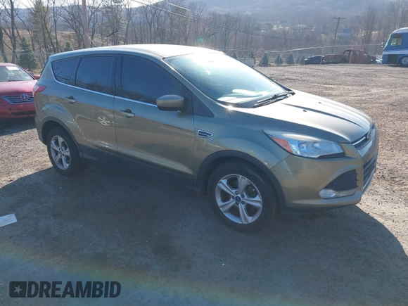 2013 Ford Escape SE with VIN 1FMCU0GX1DUA41932, listed as a IAAI auction lot 41896200 with 190,545 mi miles. Bid and sale history available at carsss.com. Image 1.