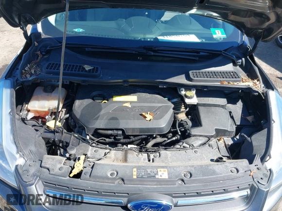 2016 Ford Escape SE with VIN 1FMCU9GX7GUA58243, listed as a IAAI auction lot 41856764 with 50,129 mi miles and . Bid and sale history available at DreamBid. Image 10.