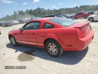 2008 Ford Mustang Deluxe with VIN 1ZVHT80N385196564, listed as a Copart auction lot 54956125 with 87,249 mi miles and Clean Title. Bid and sale history available at carsss.com. Image 2.