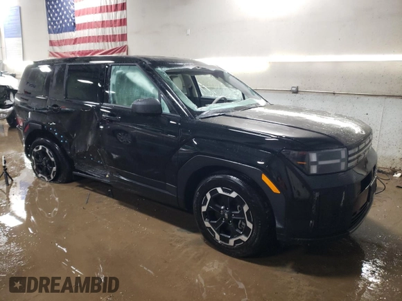2024 Hyundai Santa Fe SE with VIN 5NMP1DGL3RH045191, listed as a Copart auction lot 41622115 with 4,228 mi miles and Salvage title. Bid and sale history available at DreamBid. Image 4.