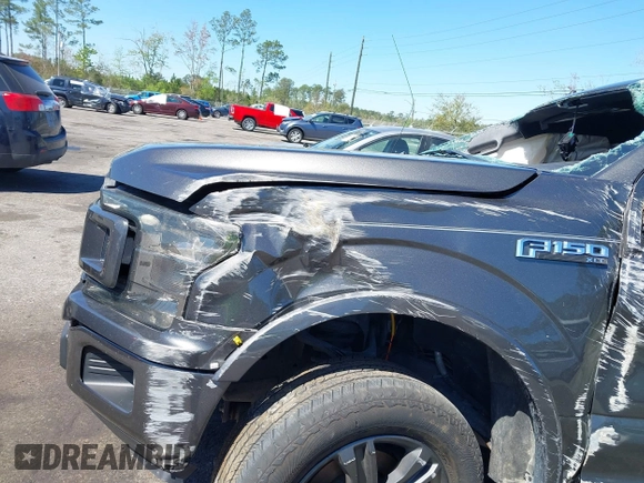 2019 Ford F-150 XL with VIN 1FTEW1CP7KKE73193, listed as a IAAI auction lot 41828951 with 87,741 mi miles and . Bid and sale history available at DreamBid. Image 6.